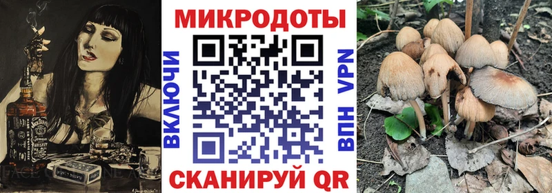 Галлюциногенные грибы Psilocybine cubensis даркнет сайт Дудинка
